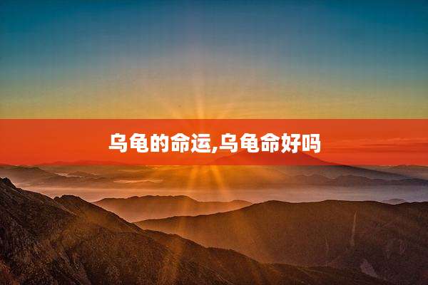 乌龟的命运,乌龟命好吗