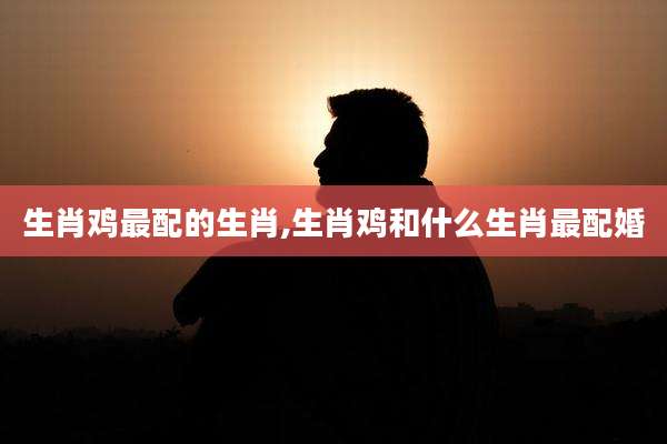 生肖鸡最配的生肖,生肖鸡和什么生肖最配婚