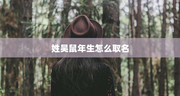 姓吴鼠年生怎么取名
