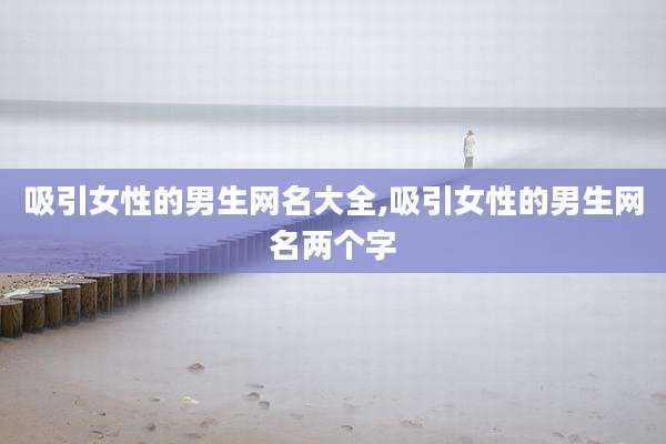 吸引女性的男生网名大全,吸引女性的男生网名两个字
