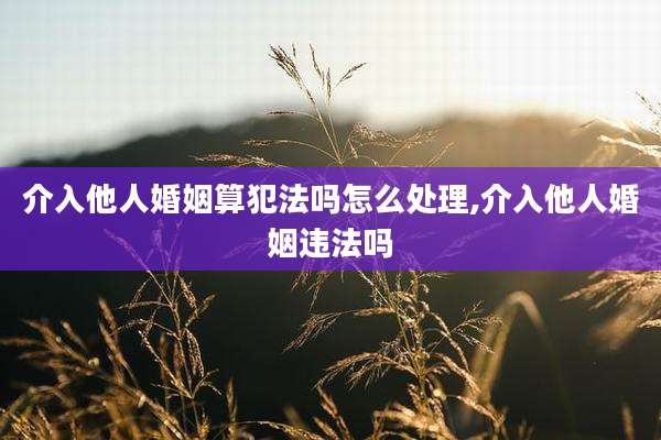 介入他人婚姻算犯法吗怎么处理,介入他人婚姻违法吗