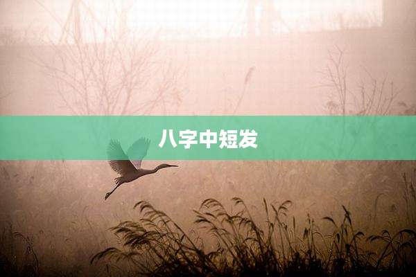 八字中短发