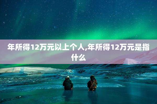 年所得12万元以上个人,年所得12万元是指什么