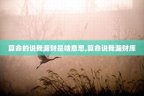算命的说我漏财是啥意思,算命说我漏财库