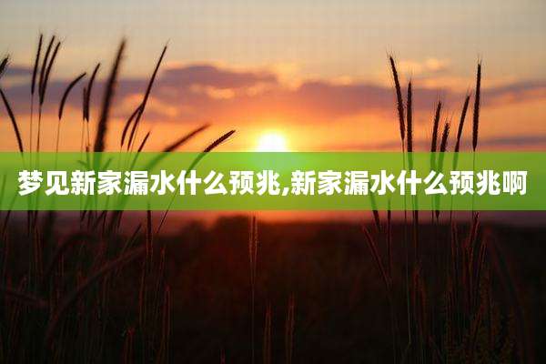 梦见新家漏水什么预兆,新家漏水什么预兆啊