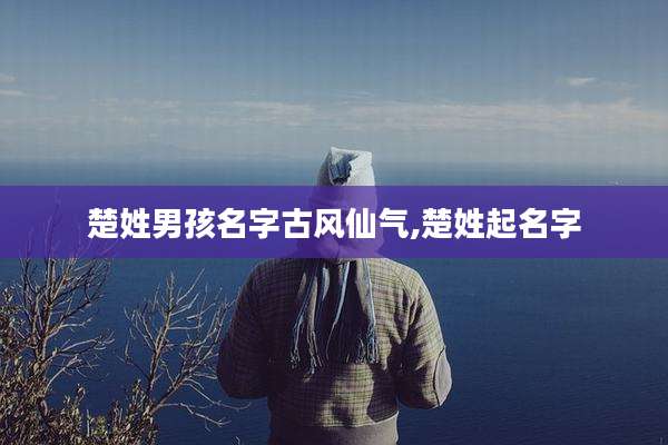 楚姓男孩名字古风仙气,楚姓起名字