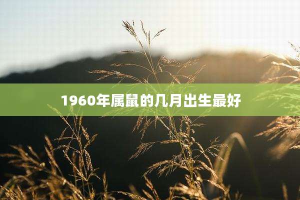 1960年属鼠的几月出生最好