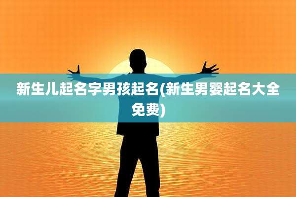 新生儿起名字男孩起名(新生男婴起名大全免费)