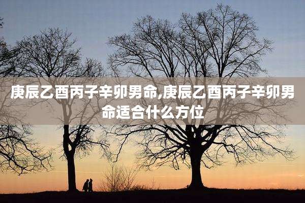 庚辰乙酉丙子辛卯男命,庚辰乙酉丙子辛卯男命适合什么方位