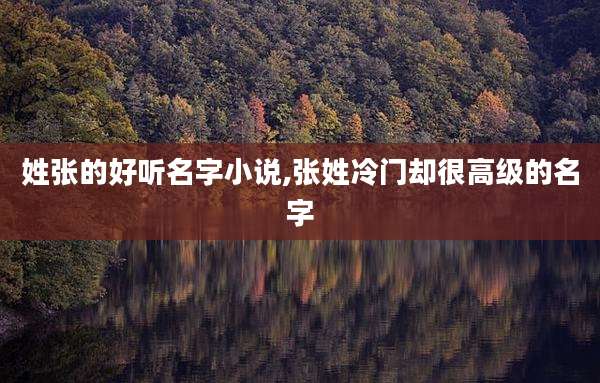 姓张的好听名字小说,张姓冷门却很高级的名字