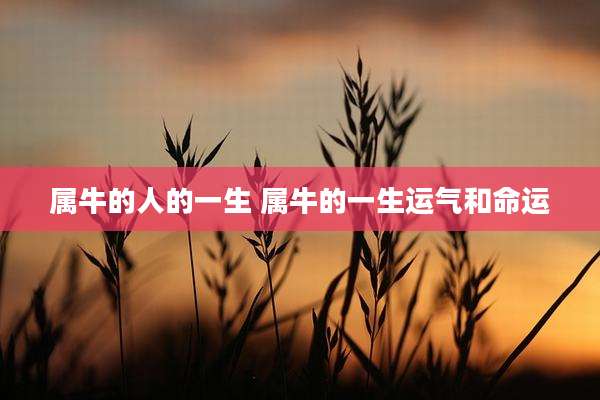 属牛的人的一生 属牛的一生运气和命运