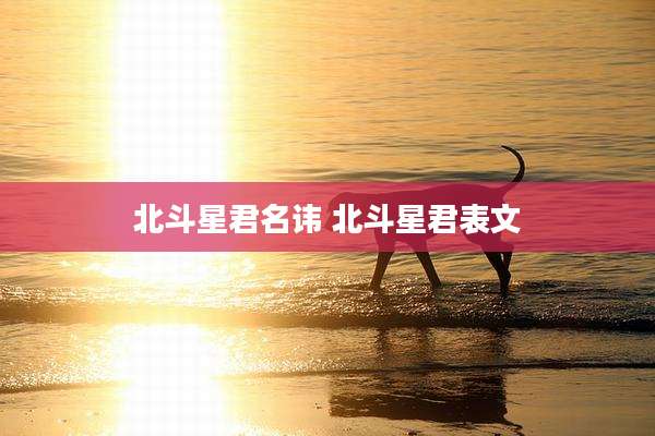 北斗星君名讳 北斗星君表文