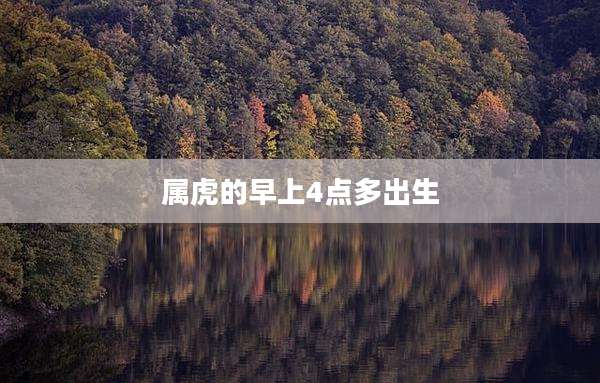 属虎的早上4点多出生