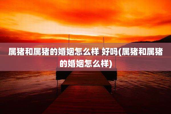 属猪和属猪的婚姻怎么样 好吗(属猪和属猪的婚姻怎么样)