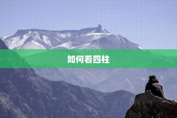 如何看四柱