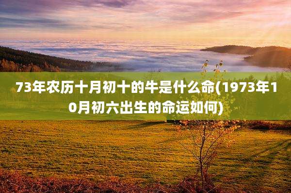 73年农历十月初十的牛是什么命(1973年10月初六出生的命运如何)
