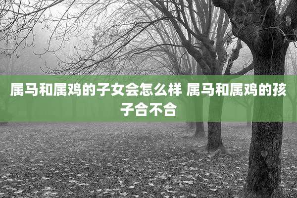 属马和属鸡的子女会怎么样 属马和属鸡的孩子合不合