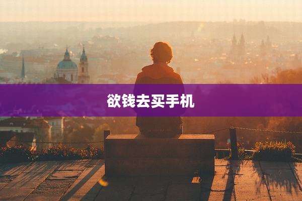 欲钱去买手机