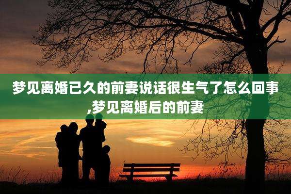 梦见离婚已久的前妻说话很生气了怎么回事,梦见离婚后的前妻