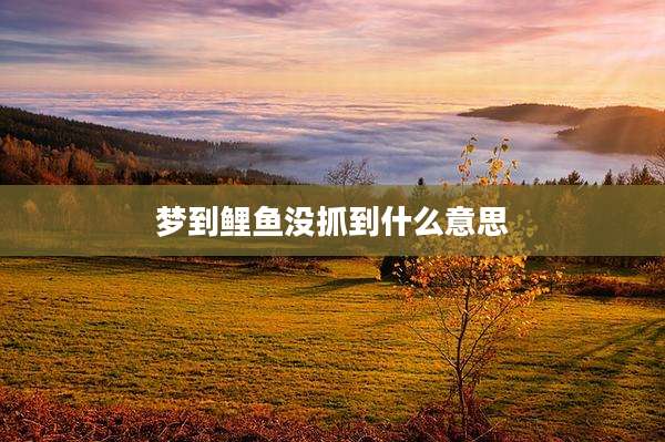 梦到鲤鱼没抓到什么意思
