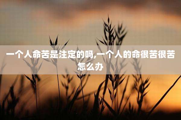 一个人命苦是注定的吗,一个人的命很苦很苦怎么办