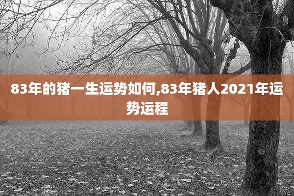 83年的猪一生运势如何,83年猪人2021年运势运程