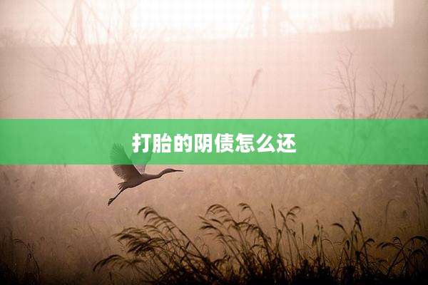 打胎的阴债怎么还