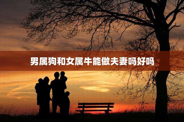 男属狗和女属牛能做夫妻吗好吗