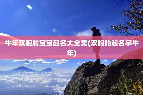 牛年双胞胎宝宝起名大全集(双胞胎起名字牛年)