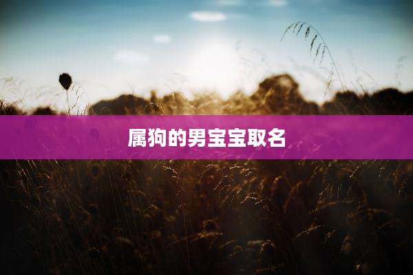 属狗的男宝宝取名