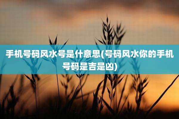 手机号码风水号是什意思(号码风水你的手机号码是吉是凶)