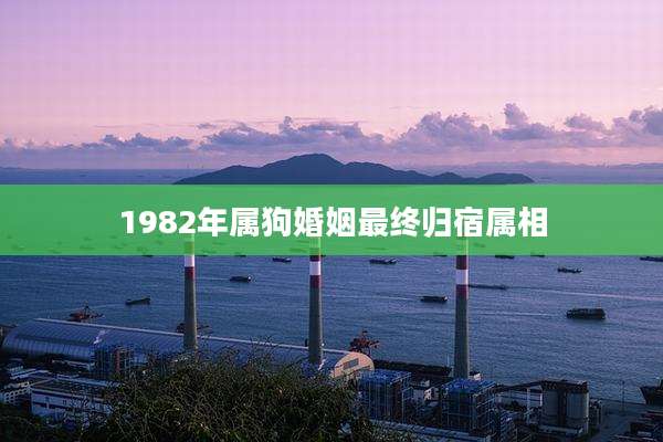 1982年属狗婚姻最终归宿属相