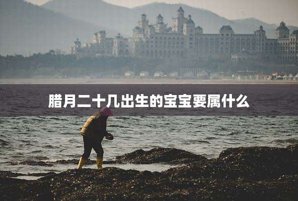 腊月二十几出生的宝宝要属什么