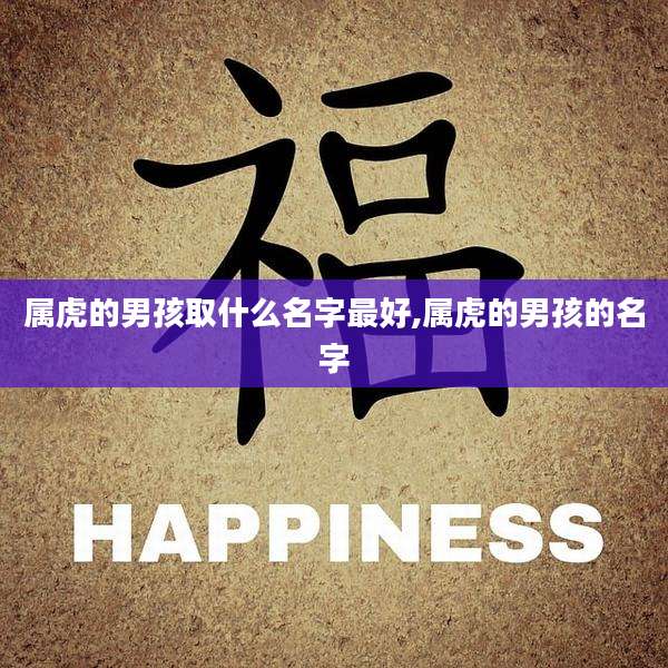 属虎的男孩取什么名字最好,属虎的男孩的名字