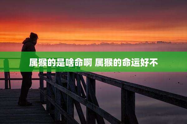 属猴的是啥命啊 属猴的命运好不