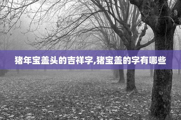 猪年宝盖头的吉祥字,猪宝盖的字有哪些