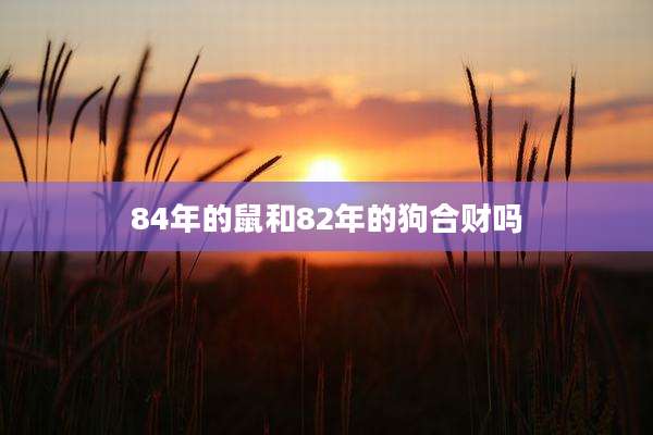84年的鼠和82年的狗合财吗