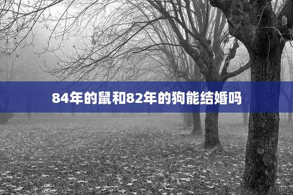 84年的鼠和82年的狗能结婚吗