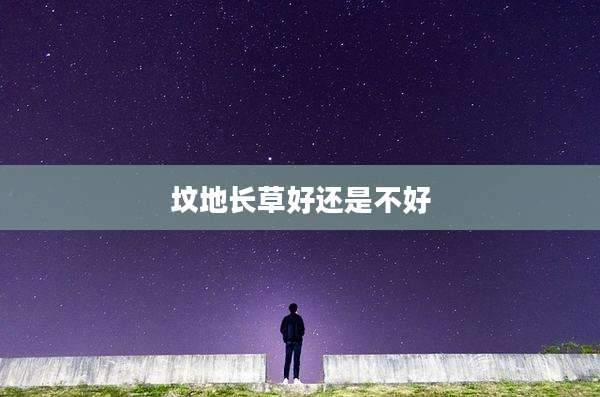 坟地长草好还是不好