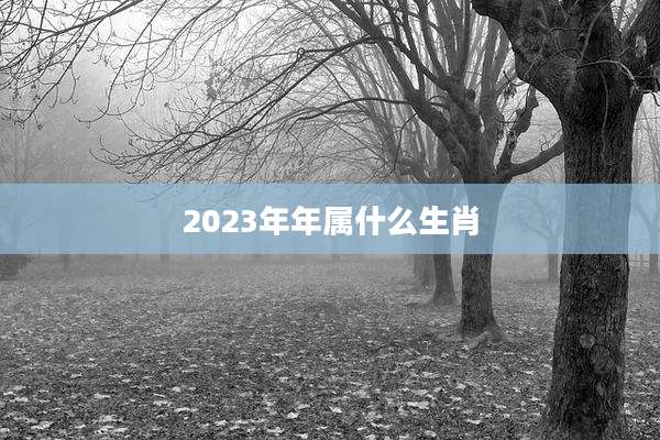 2023年年属什么生肖