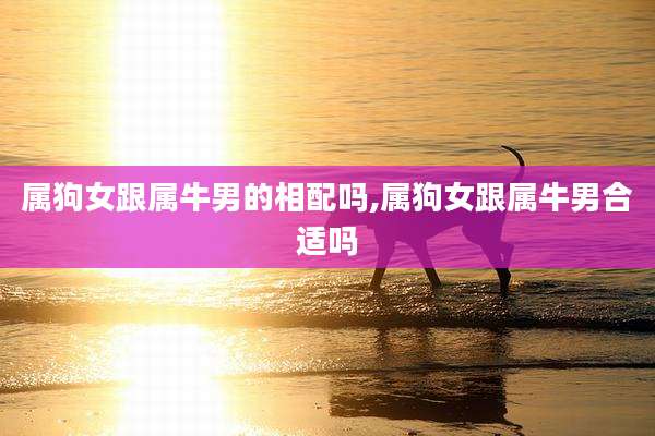 属狗女跟属牛男的相配吗,属狗女跟属牛男合适吗