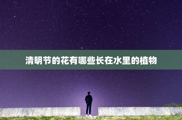 清明节的花有哪些长在水里的植物