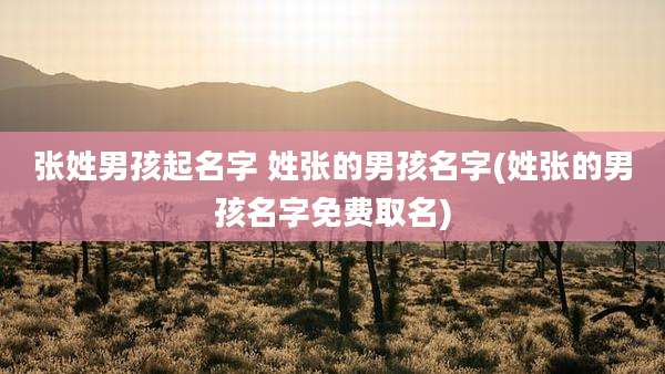 张姓男孩起名字 姓张的男孩名字(姓张的男孩名字免费取名)