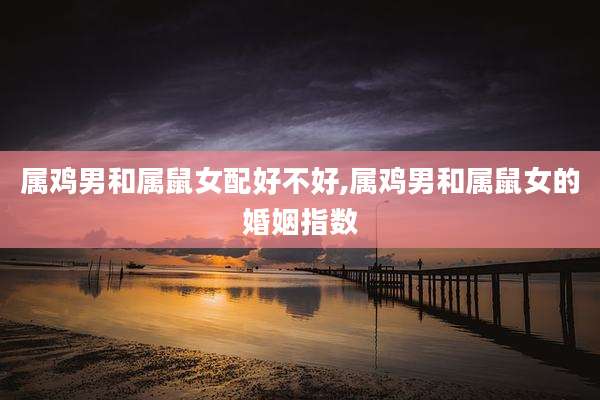 属鸡男和属鼠女配好不好,属鸡男和属鼠女的婚姻指数