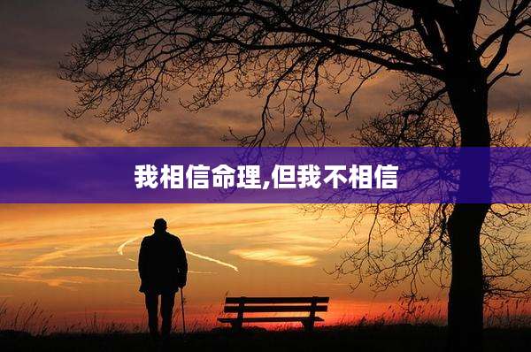 我相信命理,但我不相信