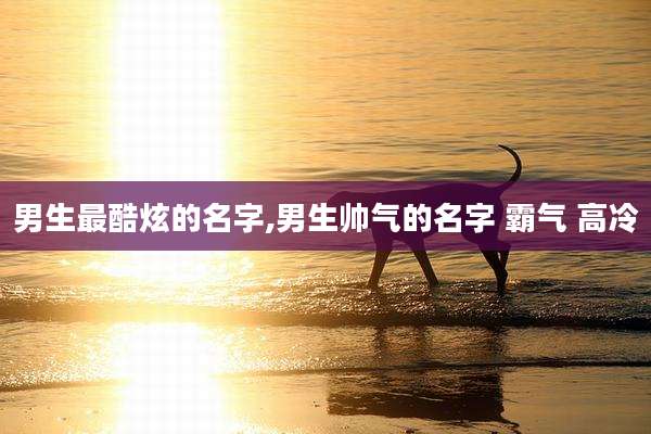 男生最酷炫的名字,男生帅气的名字 霸气 高冷