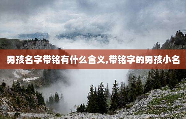 男孩名字带铭有什么含义,带铭字的男孩小名