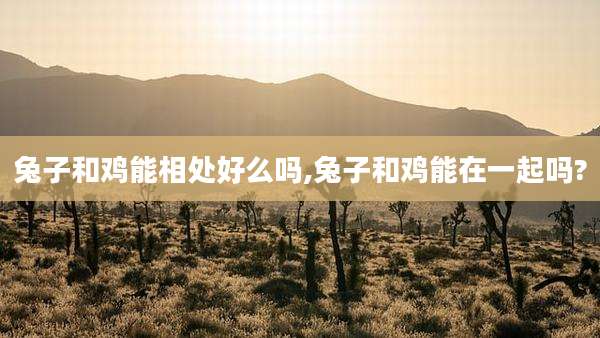 兔子和鸡能相处好么吗,兔子和鸡能在一起吗?