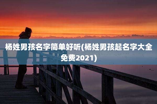 杨姓男孩名字简单好听(杨姓男孩起名字大全免费2021)