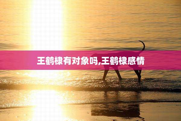 王鹤棣有对象吗,王鹤棣感情